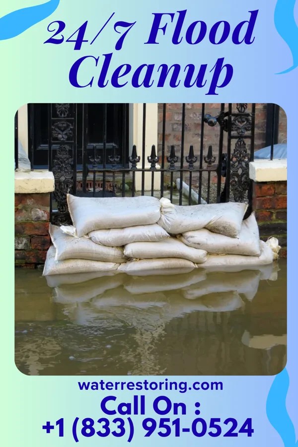 24/7 Flood Cleanup in San Leanna, TX