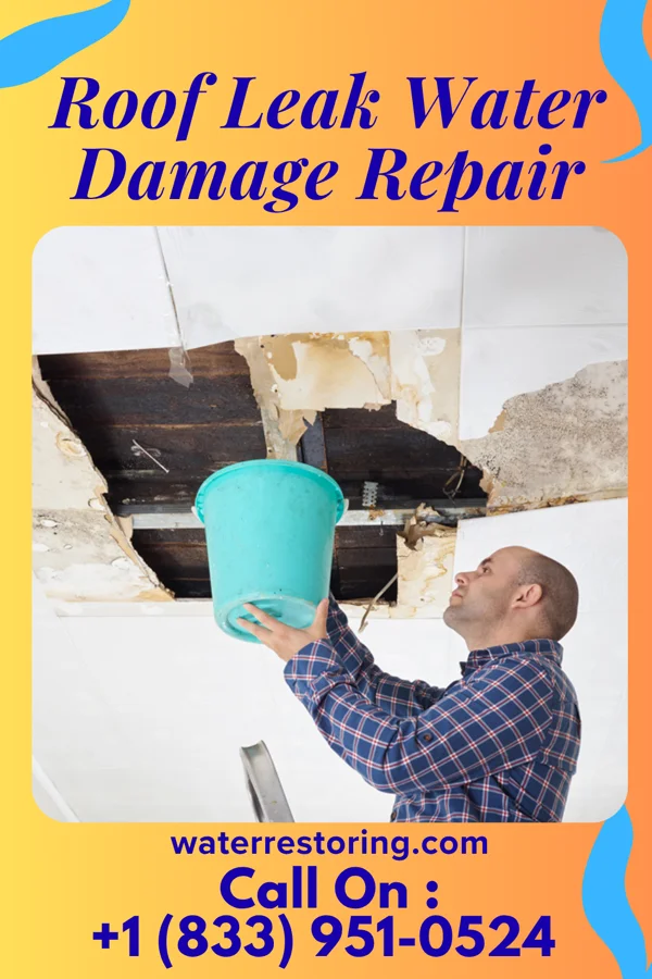 Roof Leak Water Damage Repair in San Leanna, TX