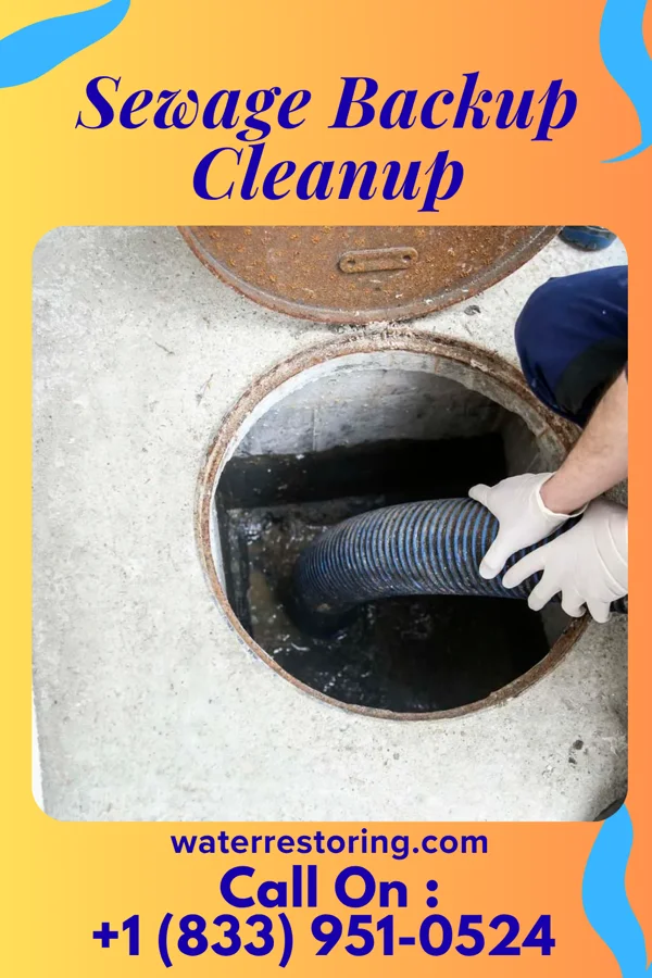 Sewage Backup Cleanup in San Leanna, TX